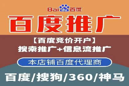 搜索引擎营销（SEM）专员的挑战与机遇